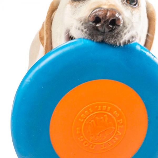 Planet Dog Zoom Flyer Large Blue Orange Gr.L